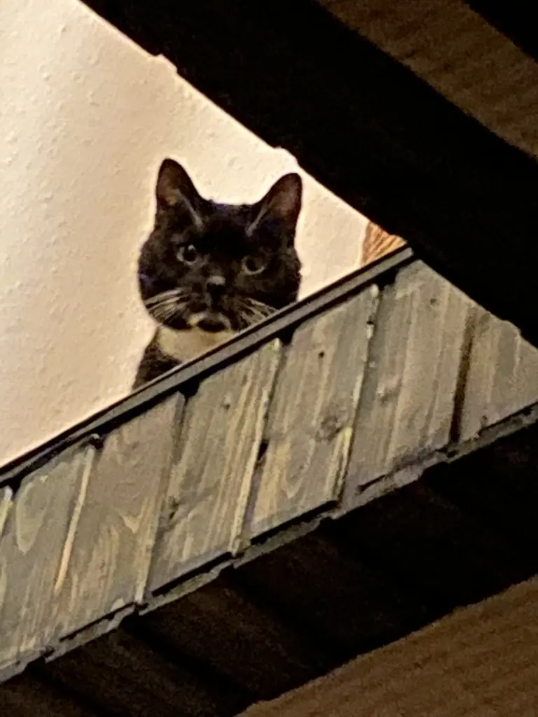 Andachtsbild von Stephanie