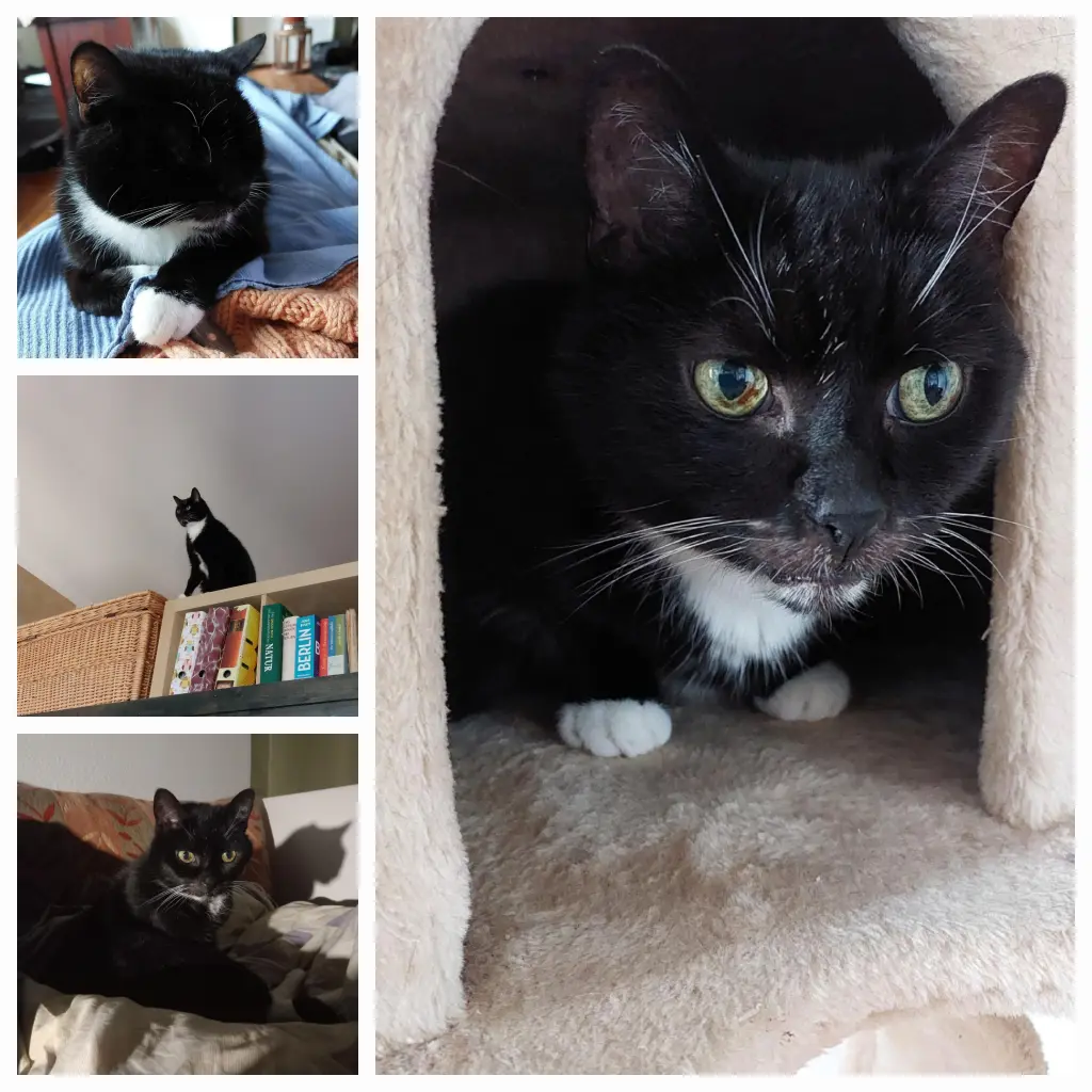 Andachtsbild von Karin