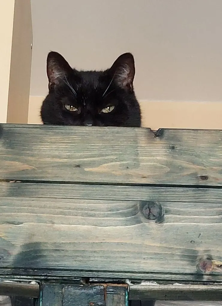 Andachtsbild von Marina Maryam