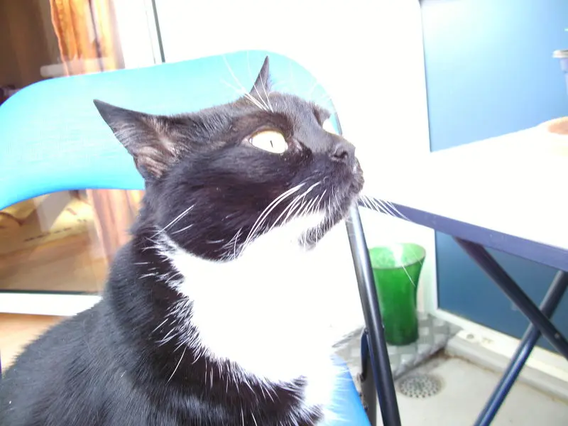 Condolence image of Jeanne - Marie