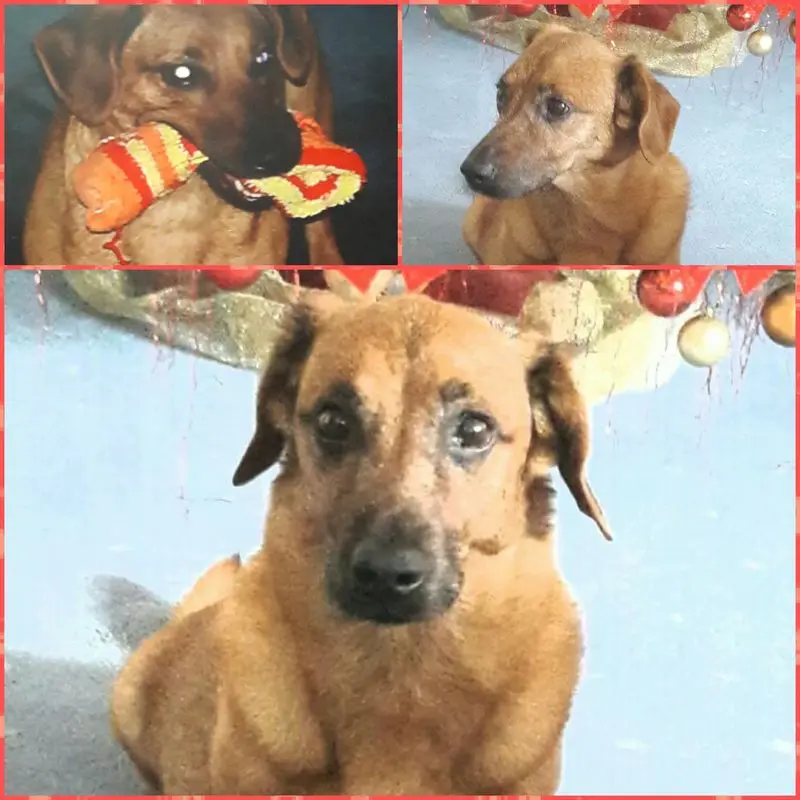 Condolence image of jill schulte