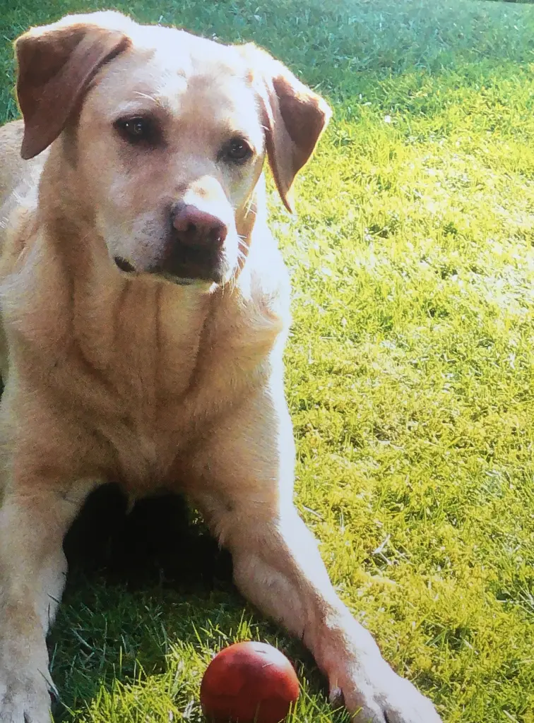 Andachtsbild von Patricia Assali