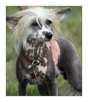 Andachtsbild von Friederike