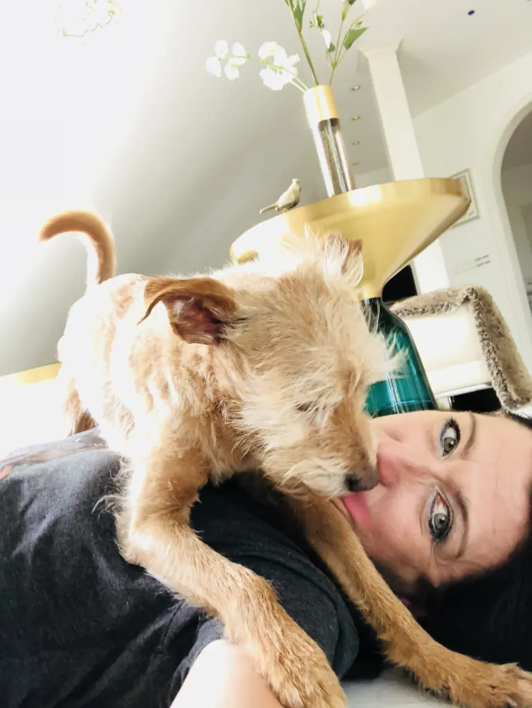 Andachtsbild von Marion Hensch