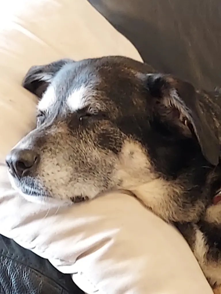 Andachtsbild von Andrea