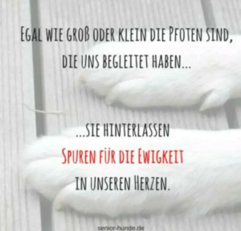 Condolence image of Sabrina Suermann