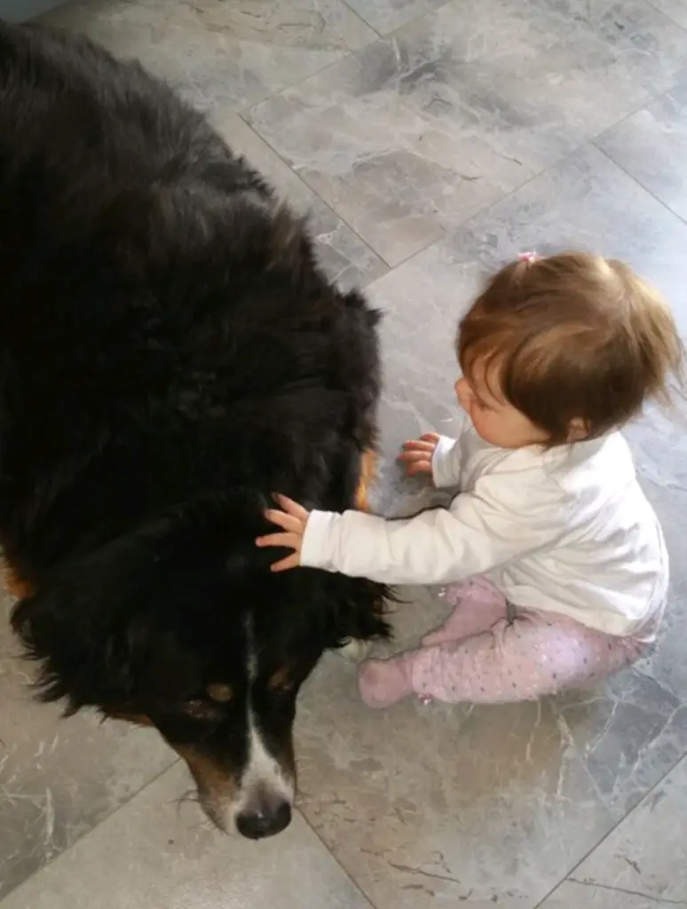 Condolence image of Jana