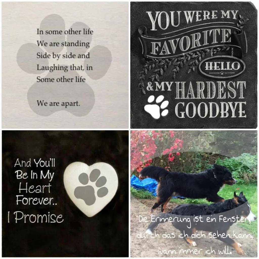 Condolence image of Claudia L