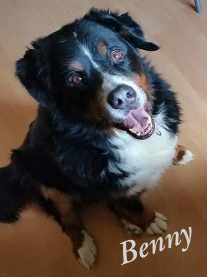 Condolence image of Claudia Lauhof