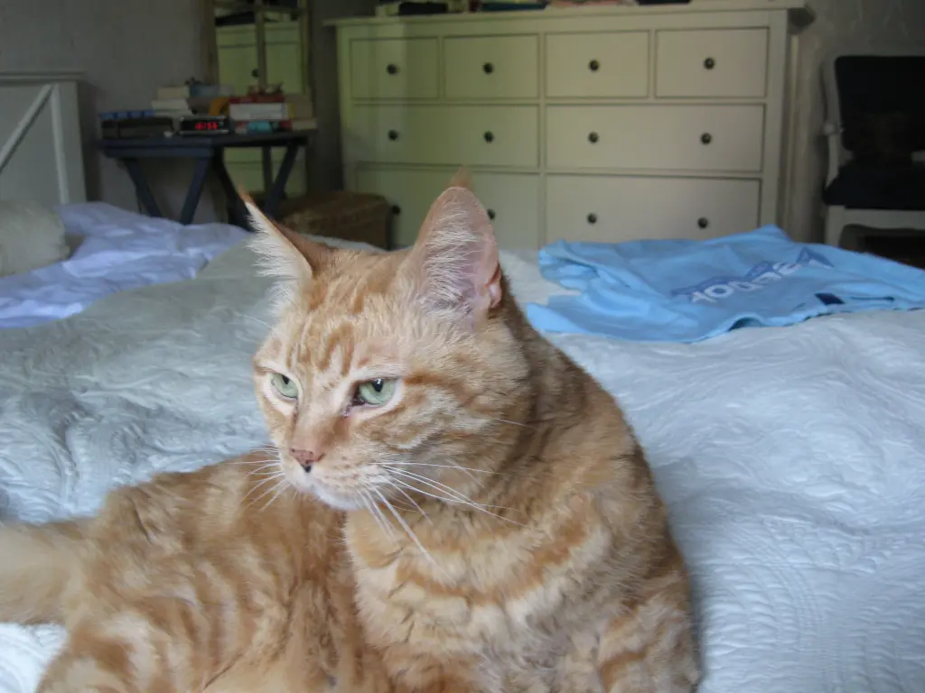 Condolence image of Katharina m. Rambo