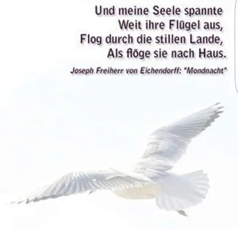 Condolence image of Carmen