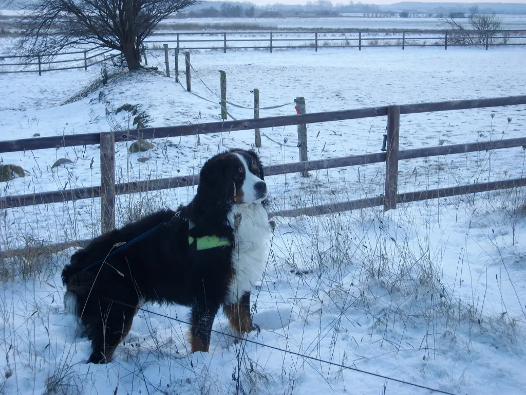 Condolence image of Birgit und Dieter