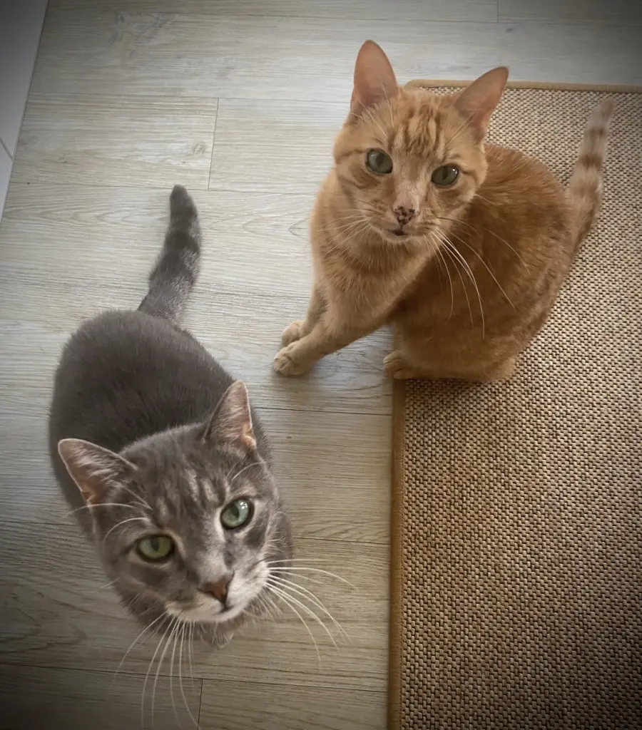 Condolence image of Andrea mit Vincent und Monthy