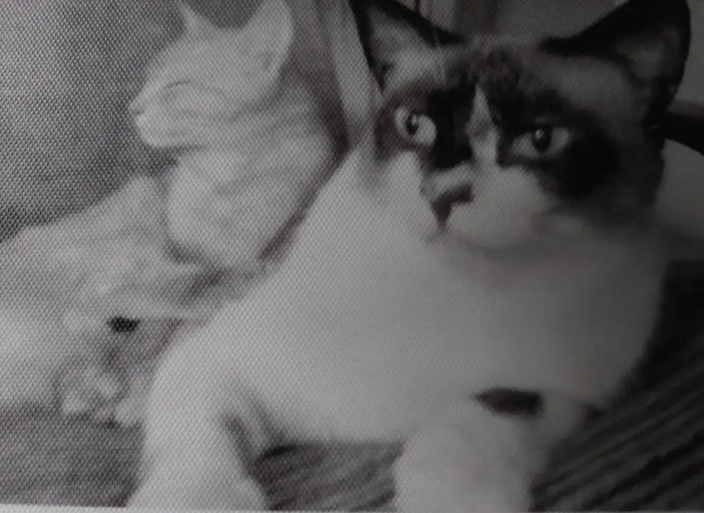 Condolence image of Heike mit Lunebärchen im❤️