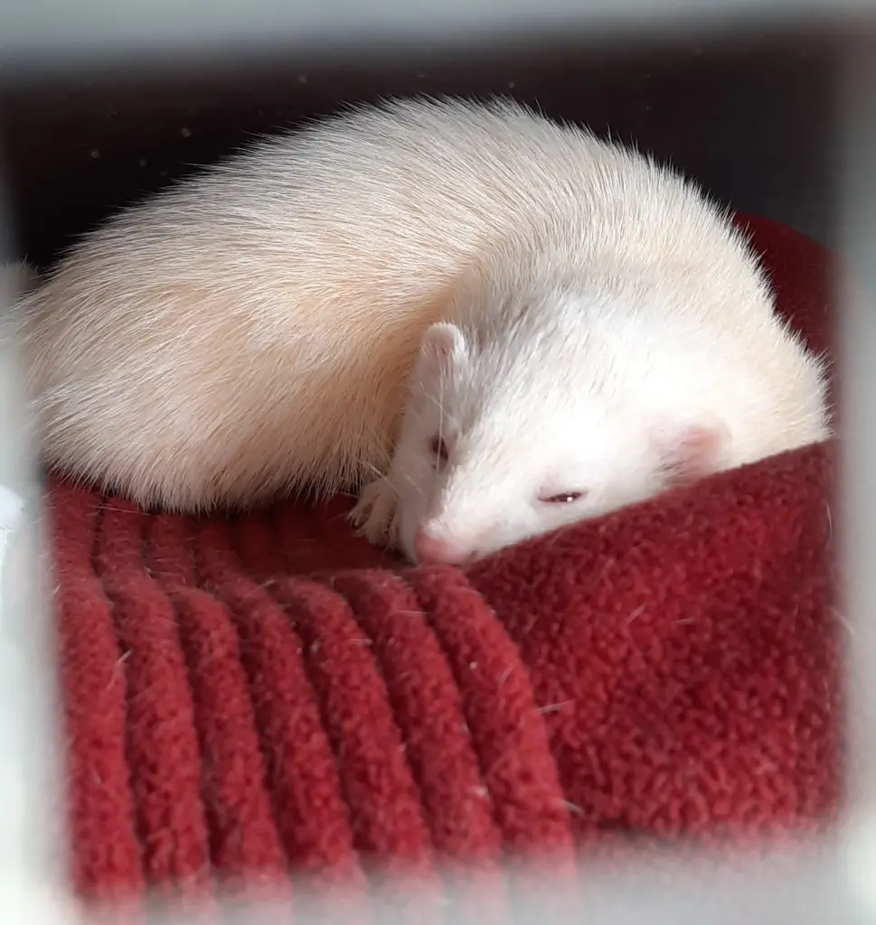 Condolence image of Unbekannt