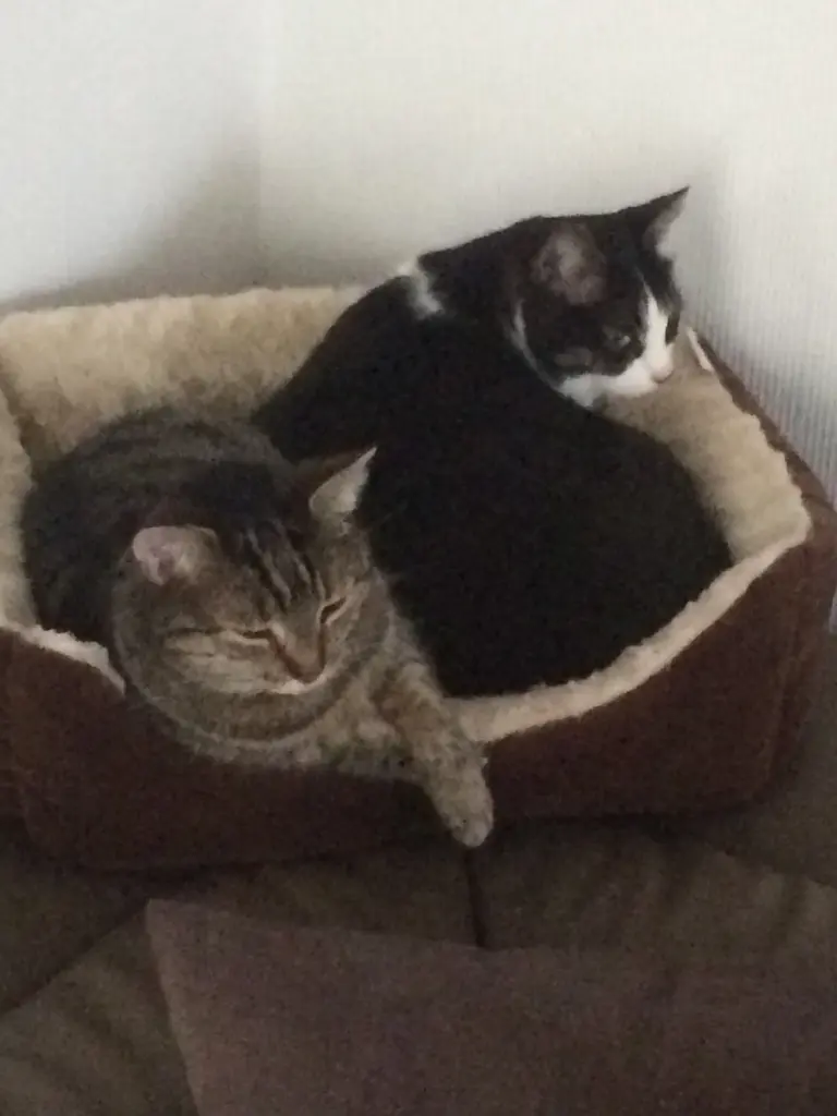 Condolence image of Susanne mit Bruno und Lilly im ❤️