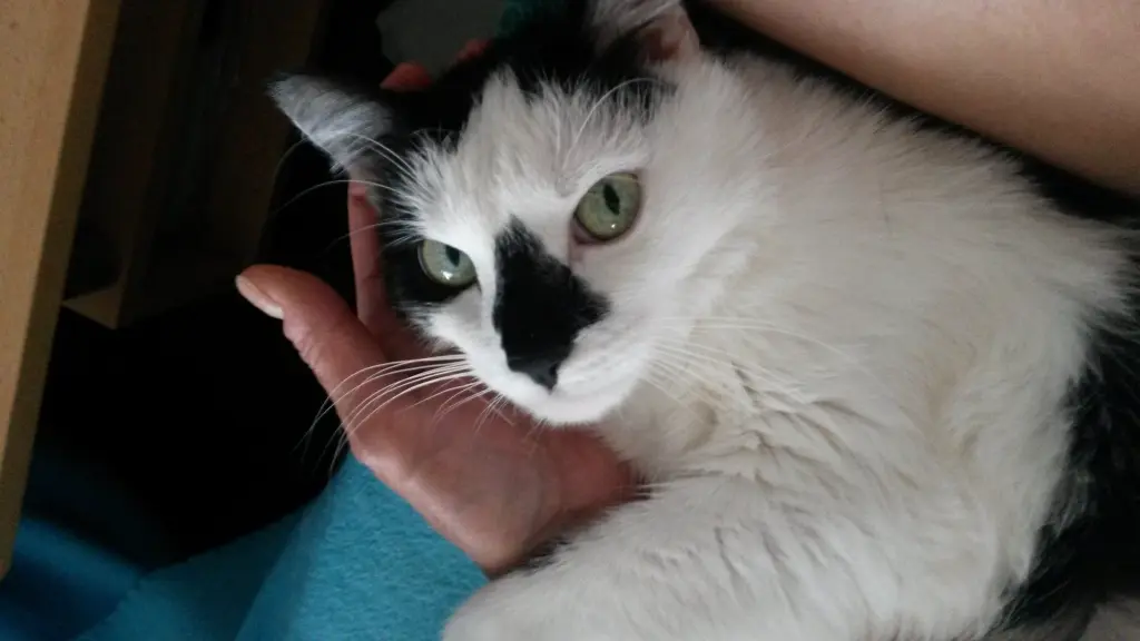 Condolence image of Inge mit Bienchen im Herzen