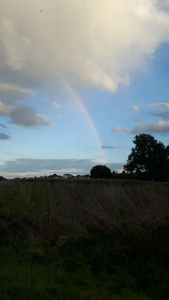 Condolence image of Micha mit Cäsar im Herzen