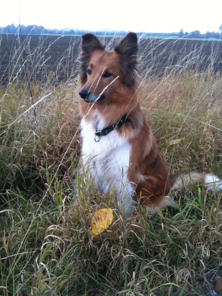 Condolence image of Katharina