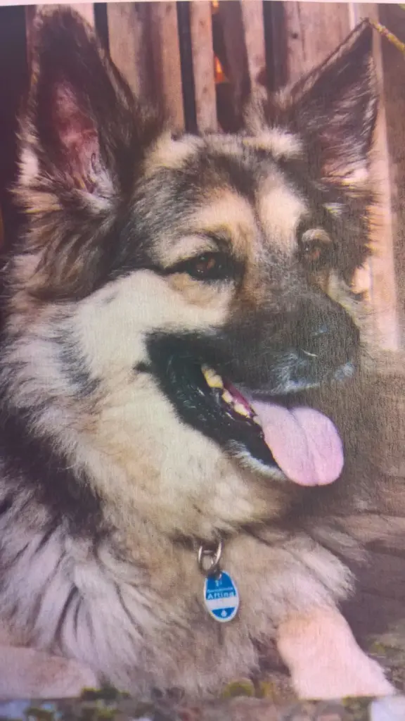 Condolence image of Unbekannt