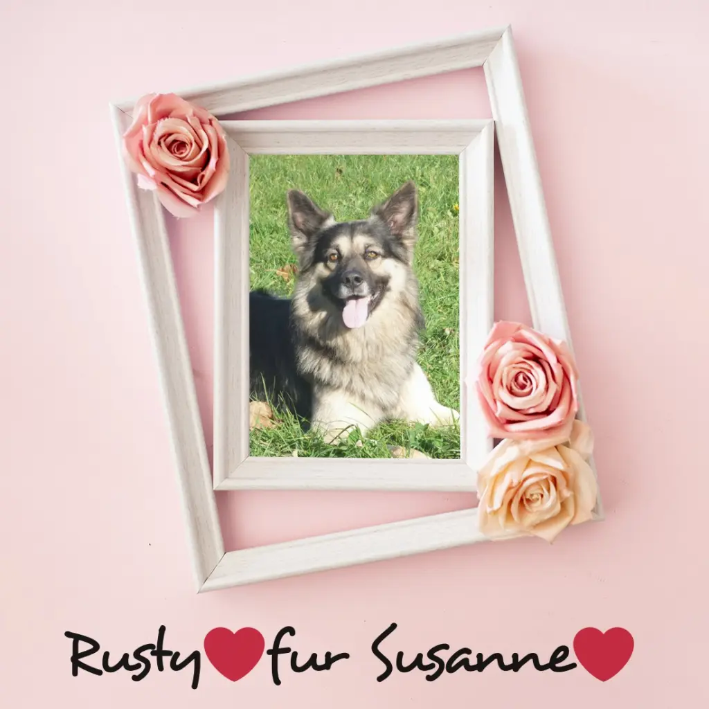 Condolence image of ❤️❤️❤️