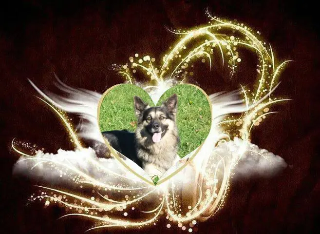 Condolence image of ❤️❤️❤️