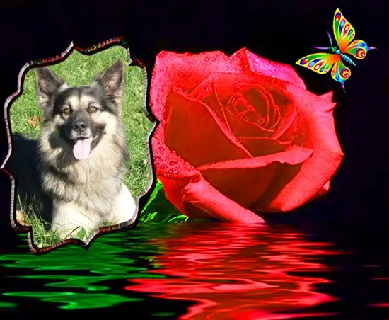 Condolence image of ❤️❤️❤️