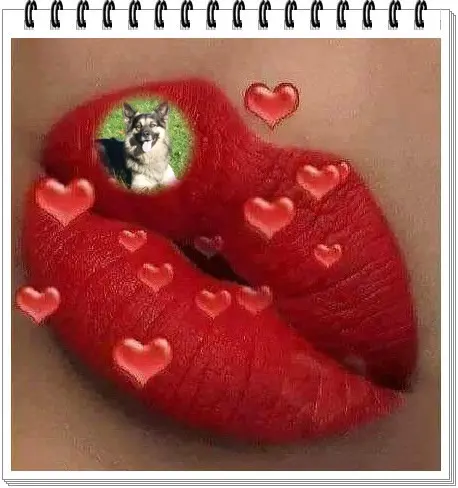 Condolence image of Sonntags Rosen fur Rusty❤️