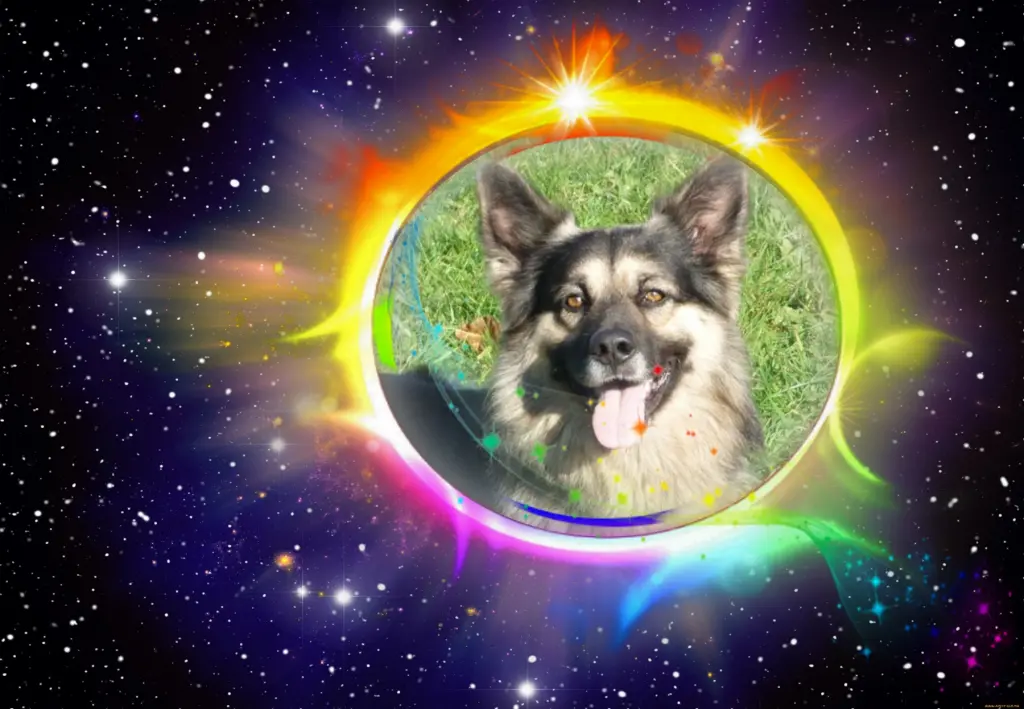 Condolence image of ❤️❤️❤️