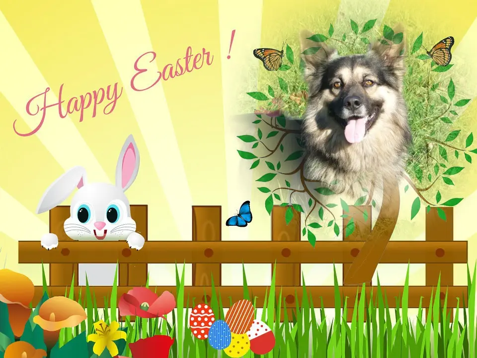 Condolence image of ❤️❤️❤️