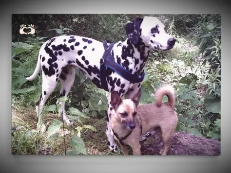 Condolence image of Michaela mit Nicko und Ariane ganz tief im ❤