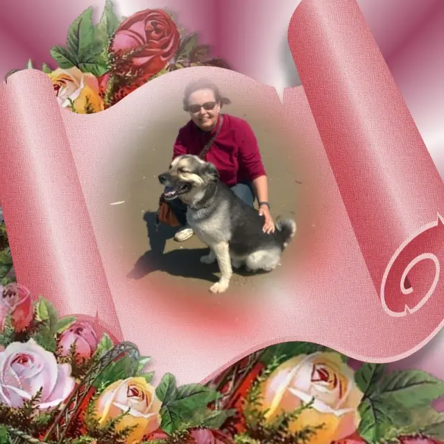 Condolence image of ❤️❤️❤️