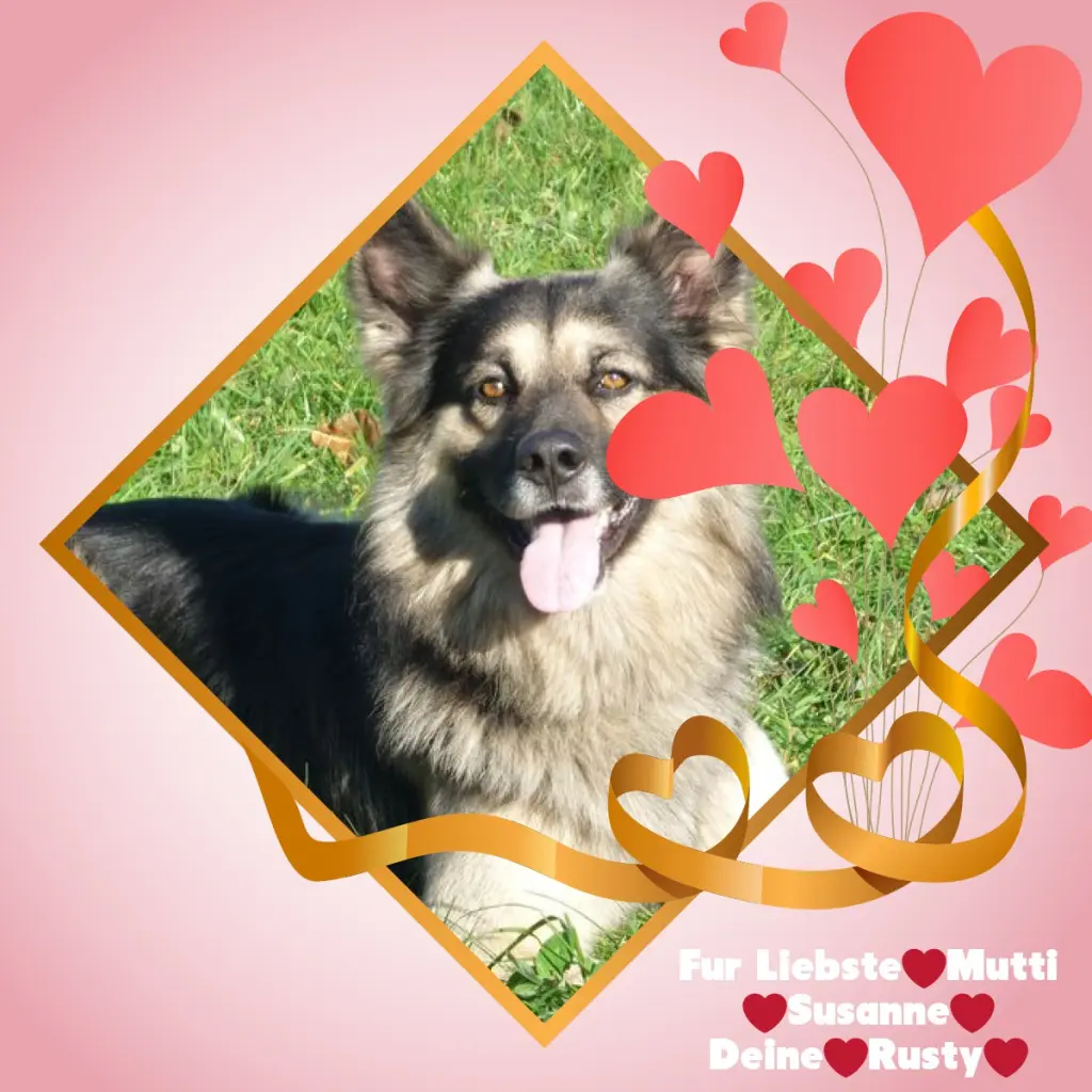 Condolence image of ❤️❤️❤️