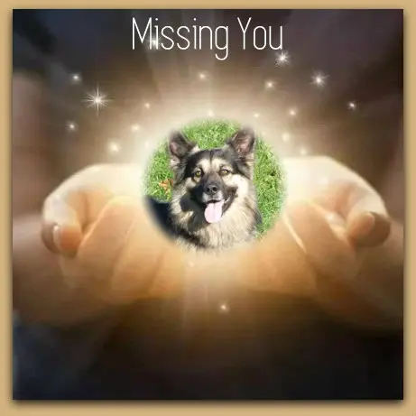 Condolence image of ❤️❤️❤️