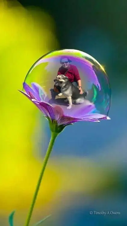 Condolence image of ❤️❤️❤️