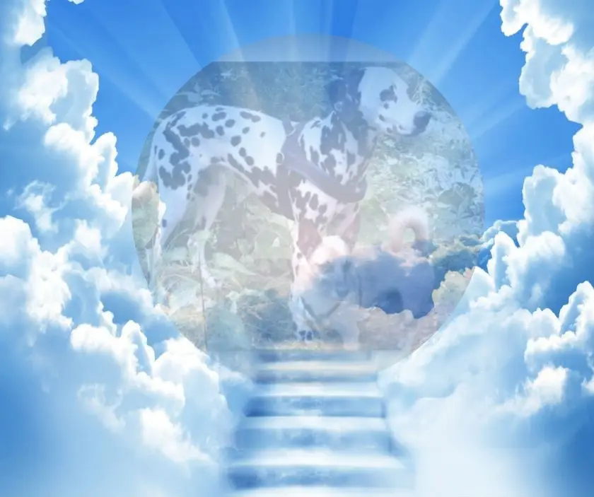 Condolence image of Michaela mit Nicko und Ariane ganz tief im ❤