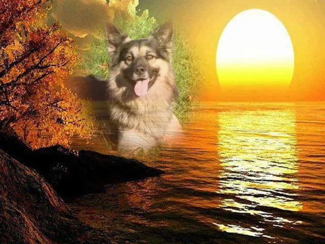 Condolence image of ❤️❤️❤️