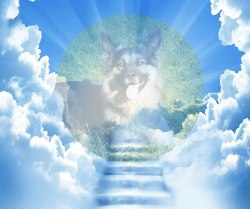 Condolence image of ❤️❤️❤️