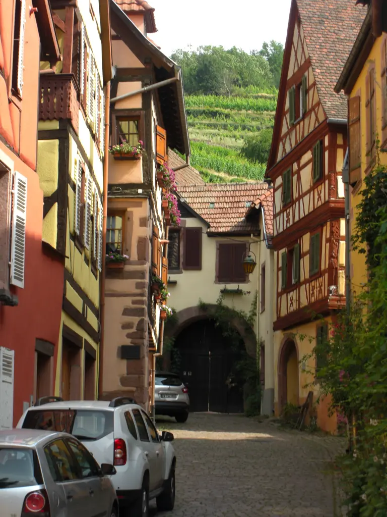 Condolence image of Michaela mit Nicko und Ariane ganz tief im ❤