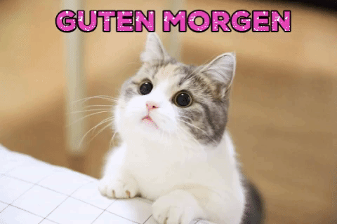 Condolence image of Michaela mit Nicko und Ariane ganz tief im ❤