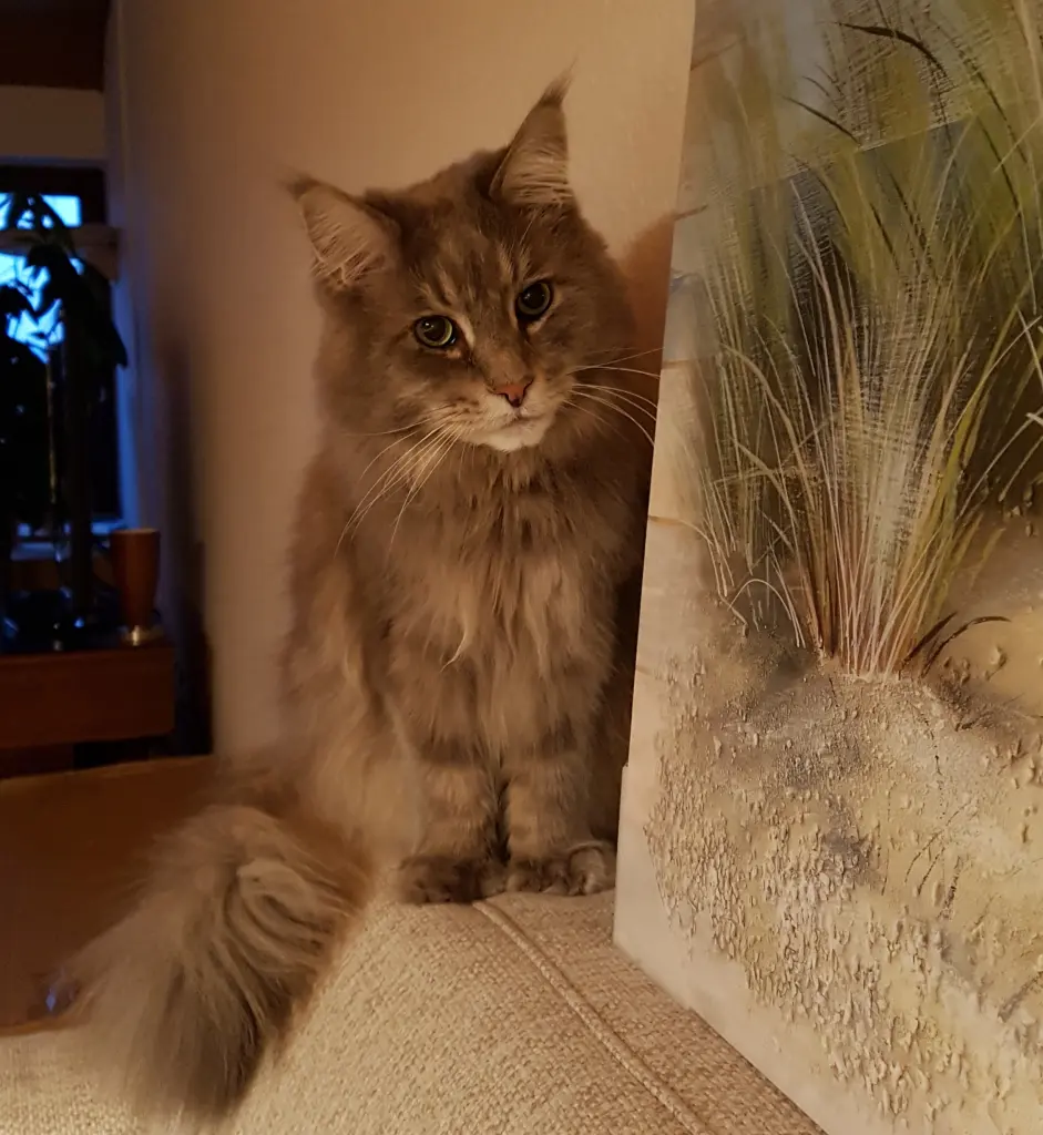 Condolence image of Brigitta mit Sam