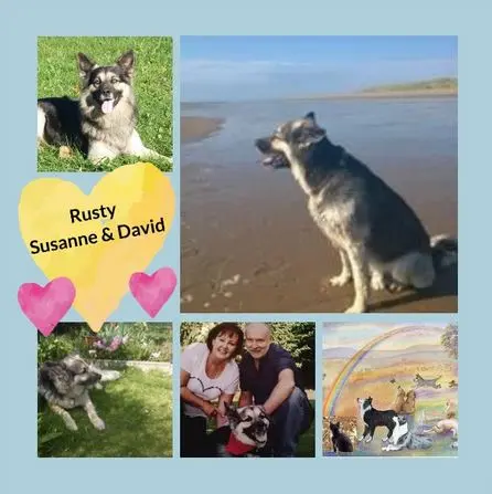 Condolence image of Rosen zum 2. Sternchengeburtstag für Rusty 