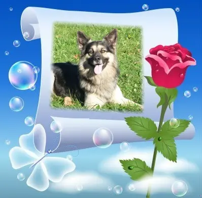 Condolence image of ❤️❤️❤️