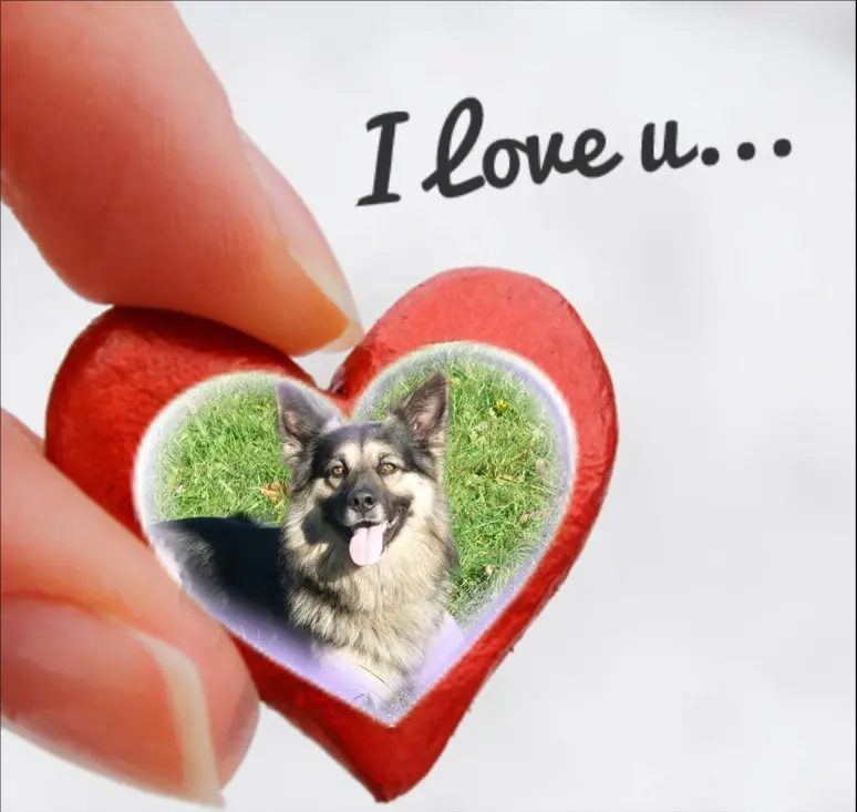 Condolence image of ❤️❤️❤️