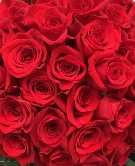 Condolence image of ❤️❤️❤️