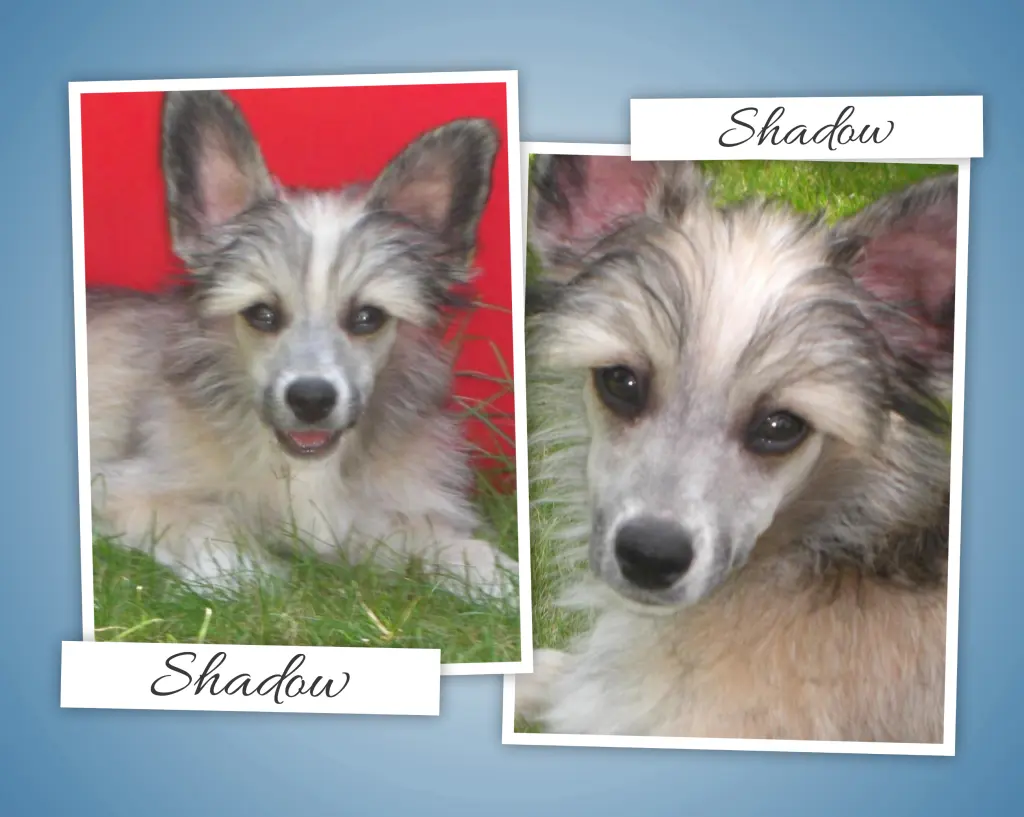 Condolence image of Michaela mit Nicko und Ariane ganz tief im ❤