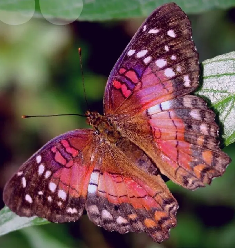 Condolence image of Eine Geschichte für Cora & Friends