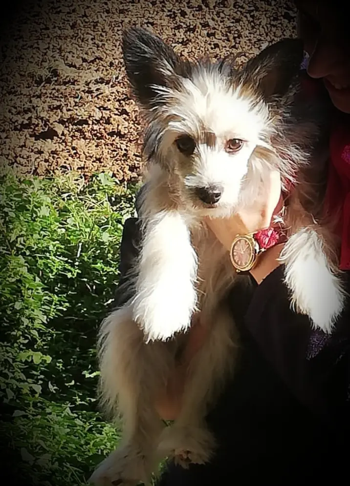 Condolence image of Michaela mit Nicko und Ariane ganz tief im ❤