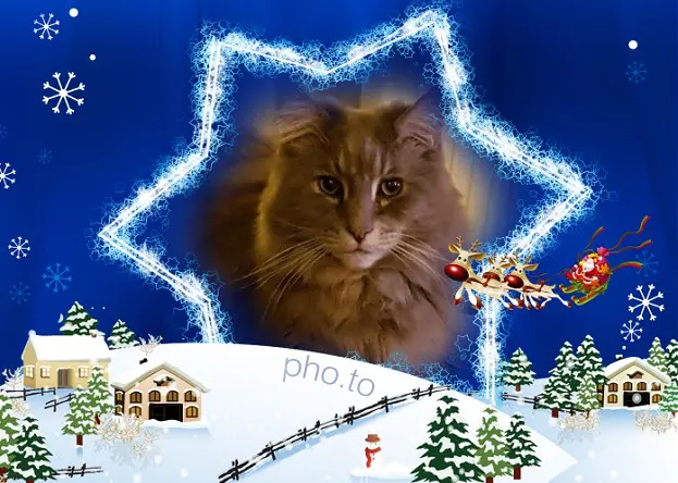 Condolence image of Weihnachtsgrüße von Brigitta und♥Sam♥