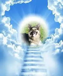 Condolence image of ❤️❤️❤️